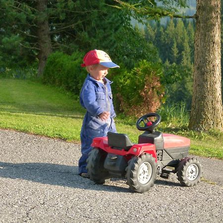 Ferienwohnungen Bachergut Mariapfarr Pokój zdjęcie